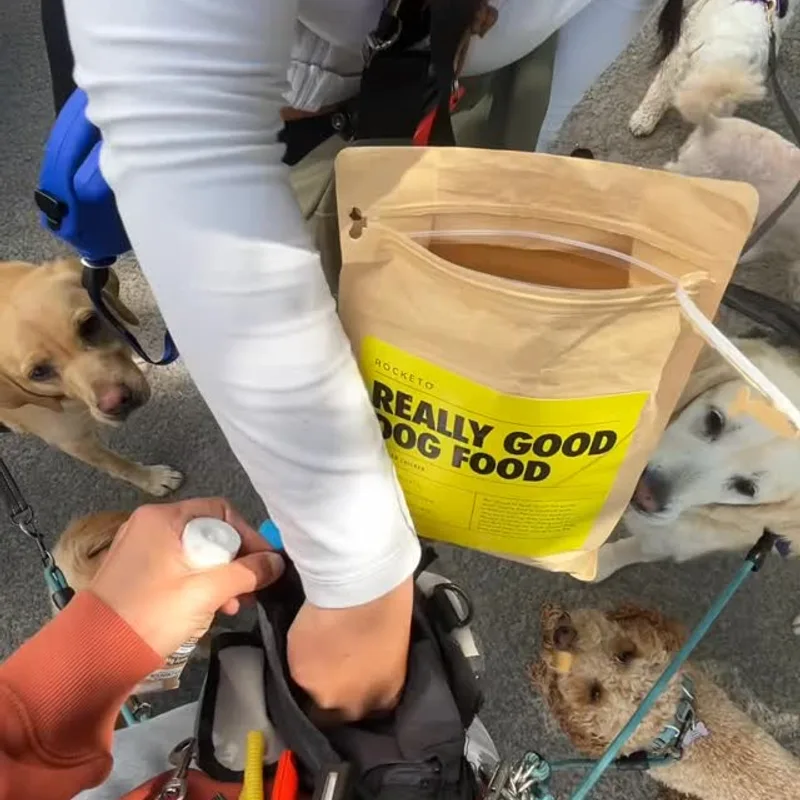 Paws Walks project 3