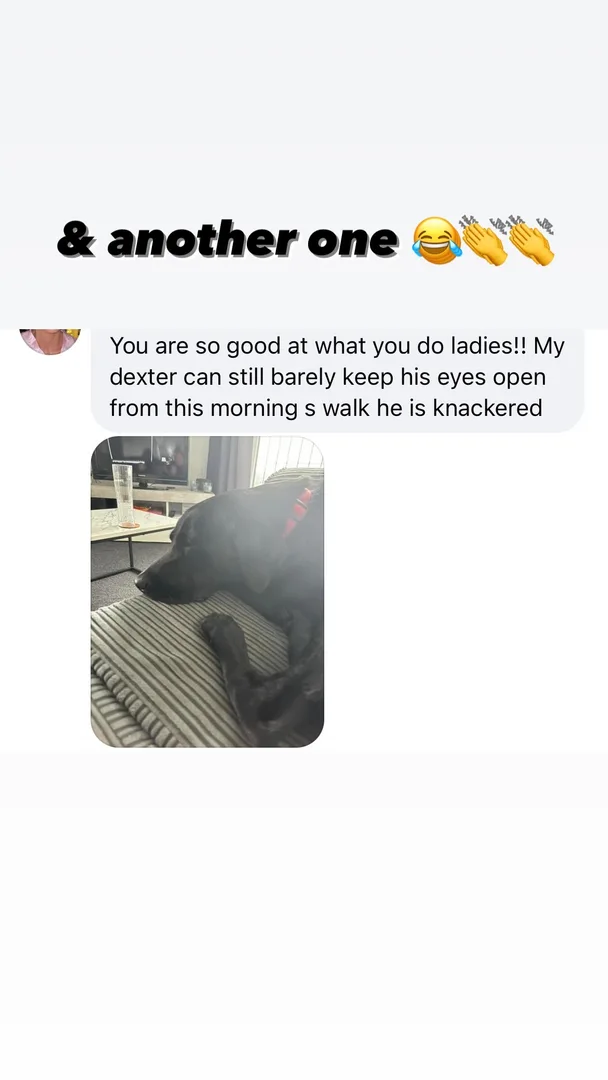 Customer testimonial