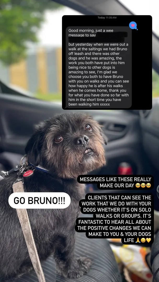 Customer testimonial