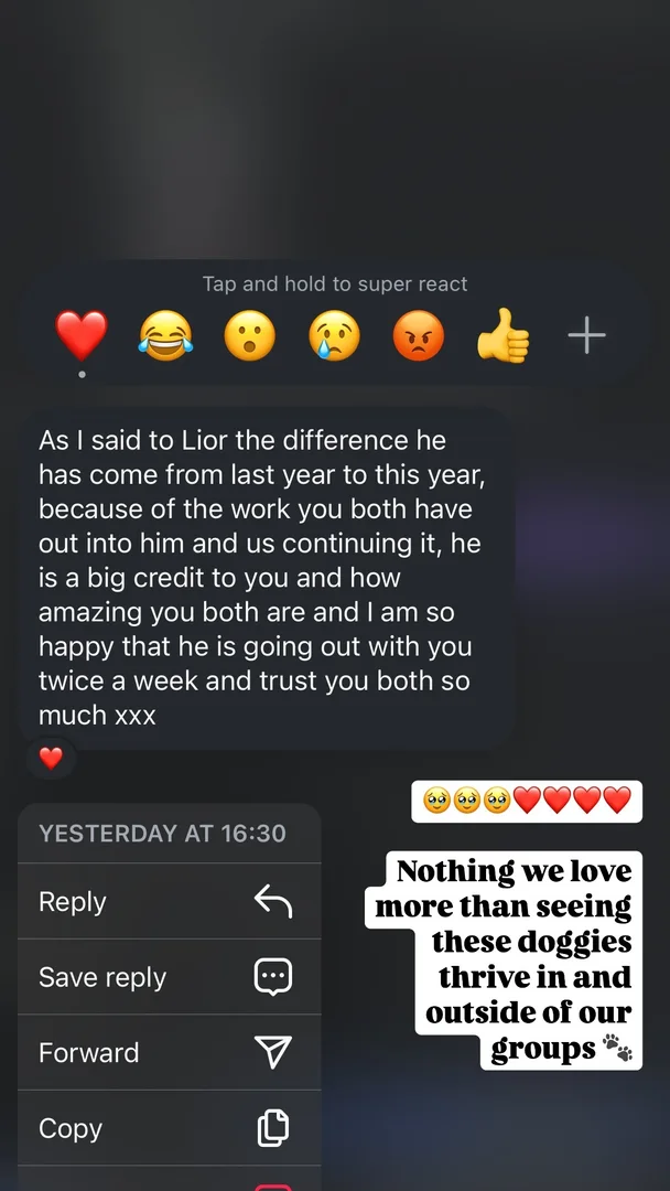 Customer testimonial
